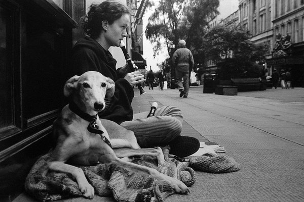 A dog looks into the camera while its owner plays a recorder